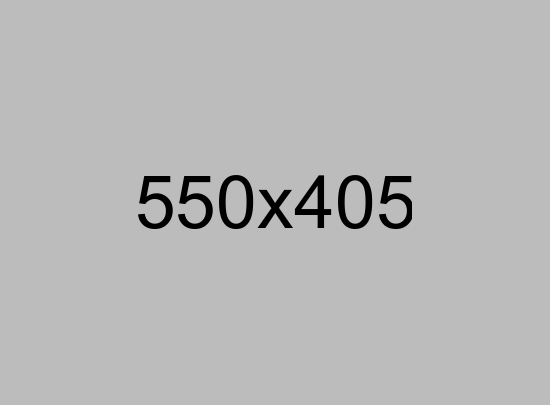 Main Image Alt Tag Data